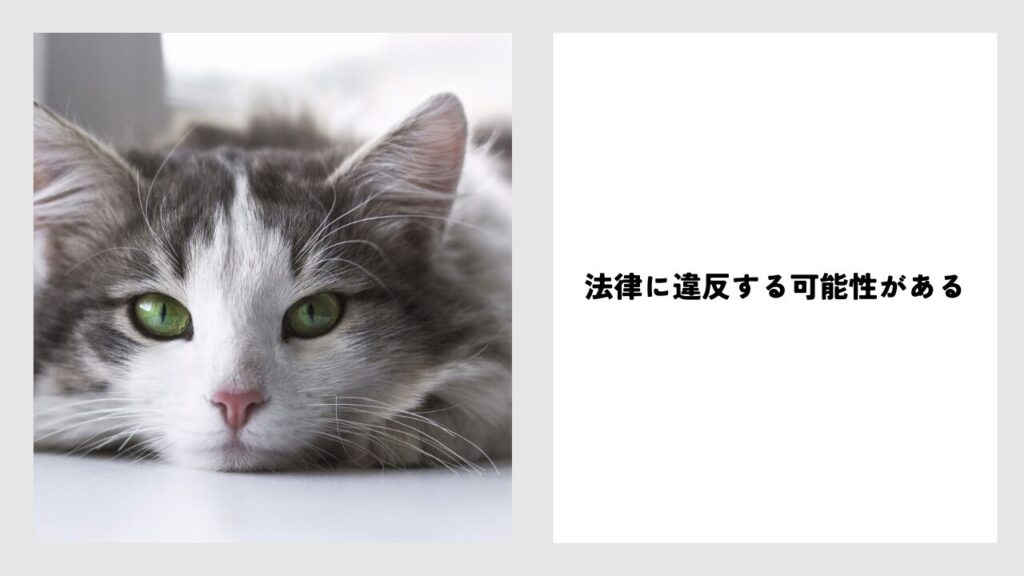 猫島の猫を持ち帰る行為は犯罪になる？