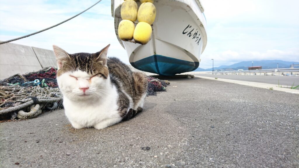 田代島