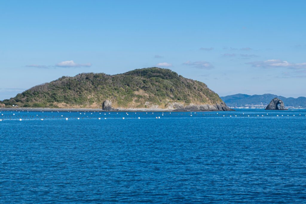 相島でフェリーに乗れない時の対策と注意点