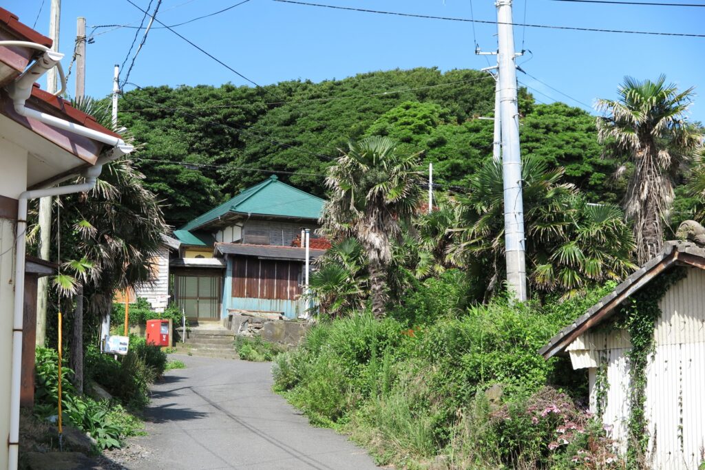 日帰りで楽しむ田代島の魅力と観光情報