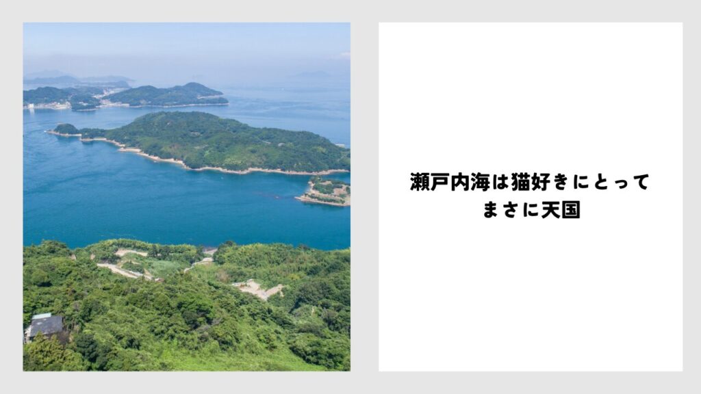 瀬戸内海の猫島、どこがおすすめ？