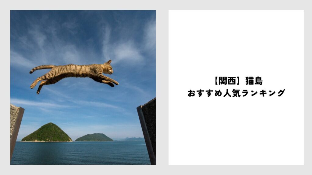 関西の猫島おすすめ人気ランキング！